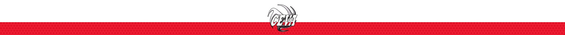 CEVA Volleyball Camps