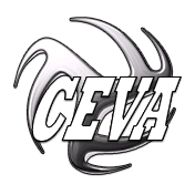 CEVA Volleyball Camps